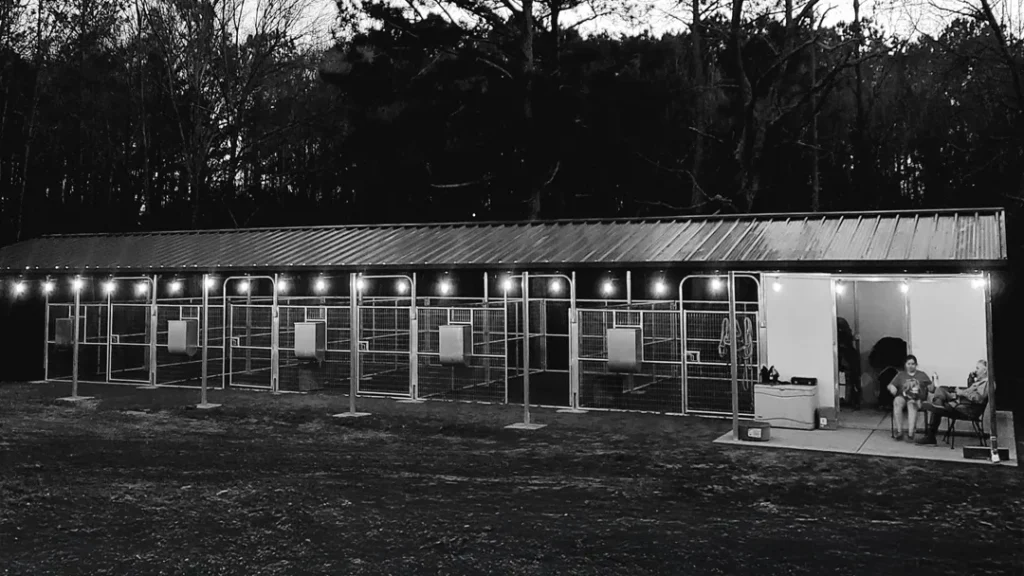 7 Benefits of Shedrow Barns by Coffman Barns Project Image